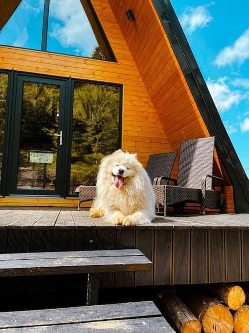 Macko's Holiday home